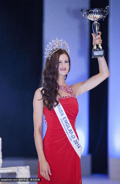 深圳品茶自带工作室